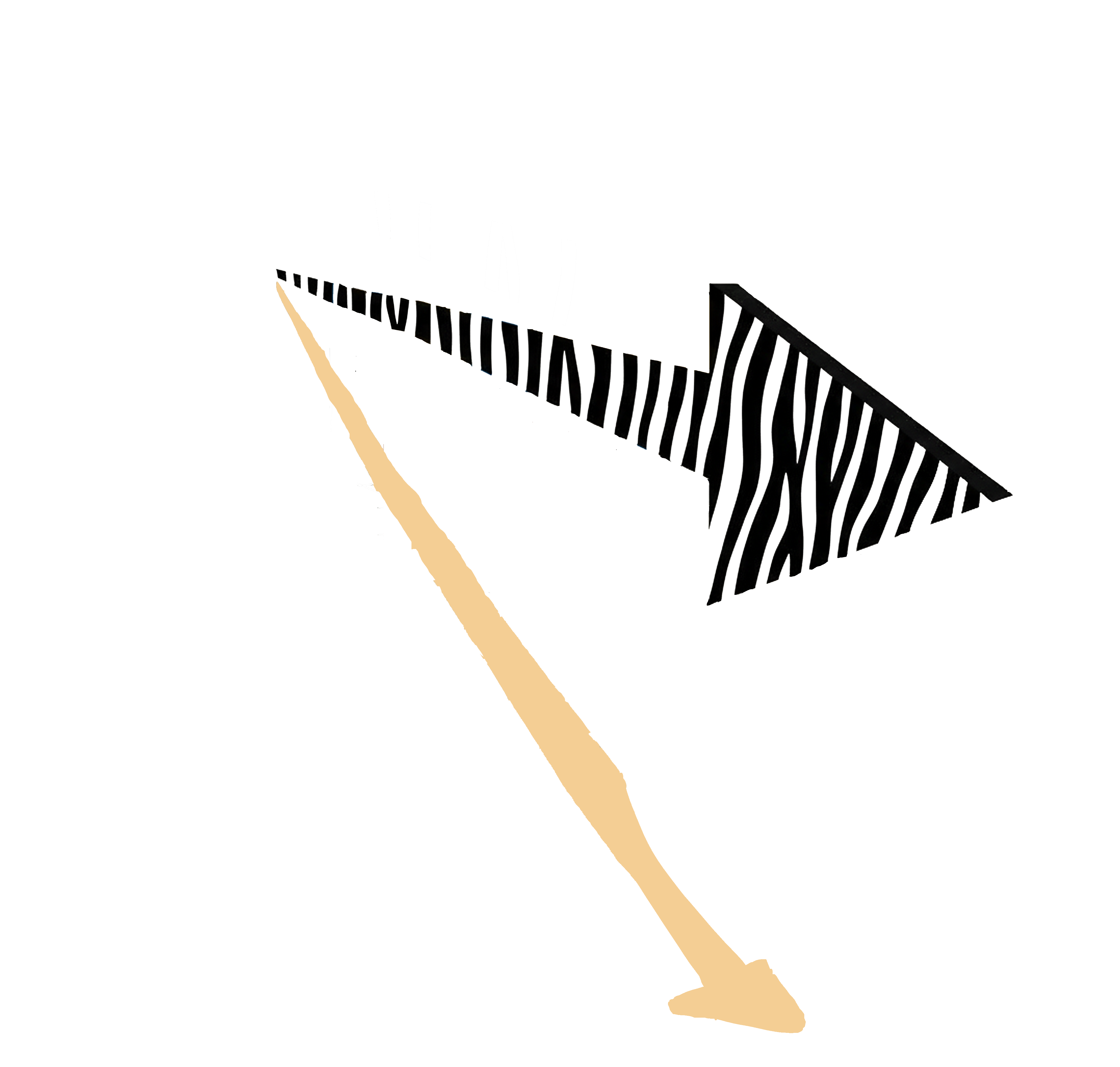 Transversality